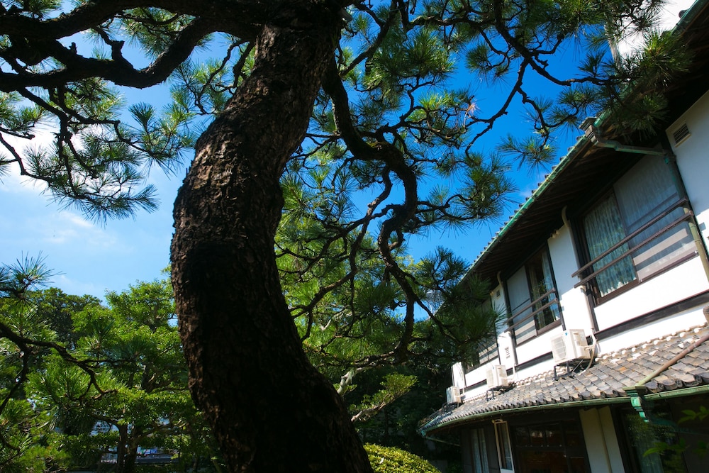 旅館綿屋 佐賀