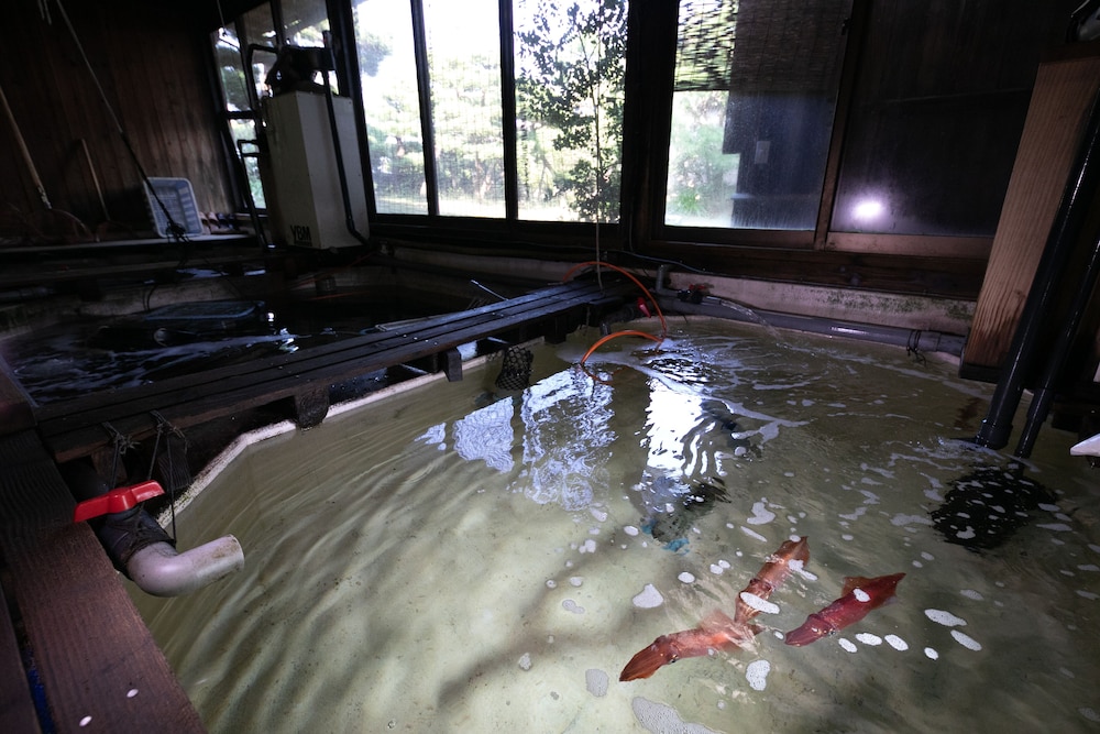 水野旅館 佐賀