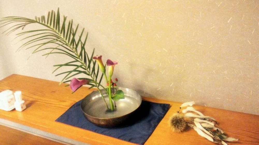 華の雫 佐賀