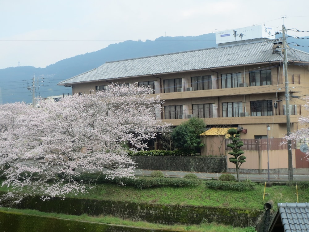 華の雫 佐賀