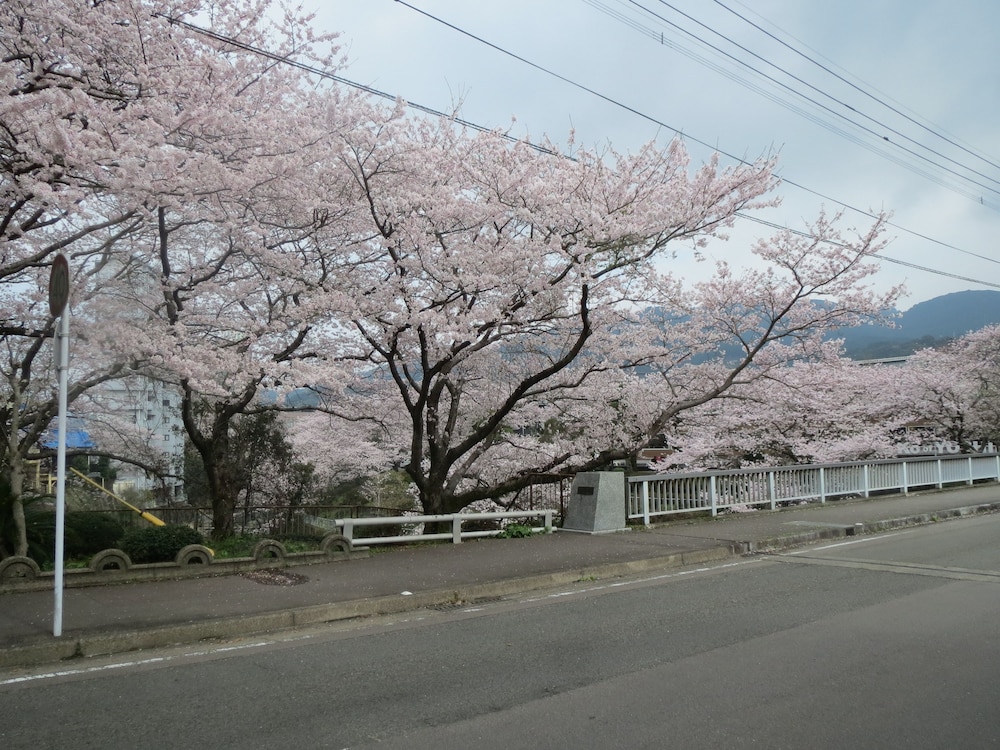 華の雫 佐賀