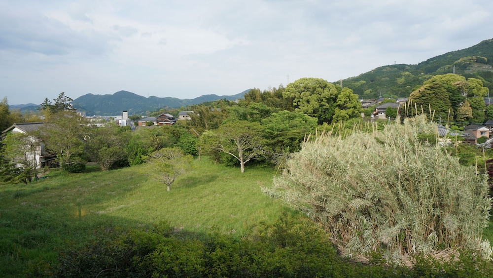 ハミルトン宇礼志野 佐賀