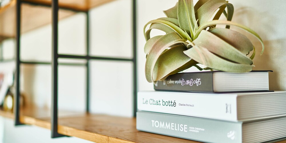 RAKUTEN STAY HOUSE X WILL STYLE 佐賀伊万里 佐賀