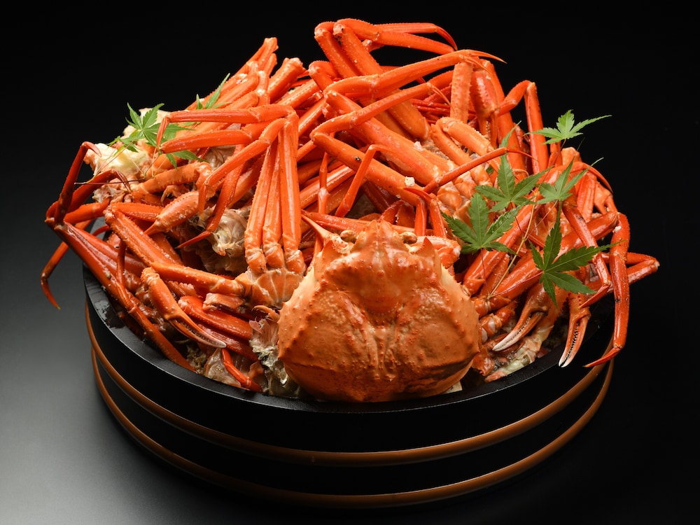 ホテル桜 嬉野 佐賀