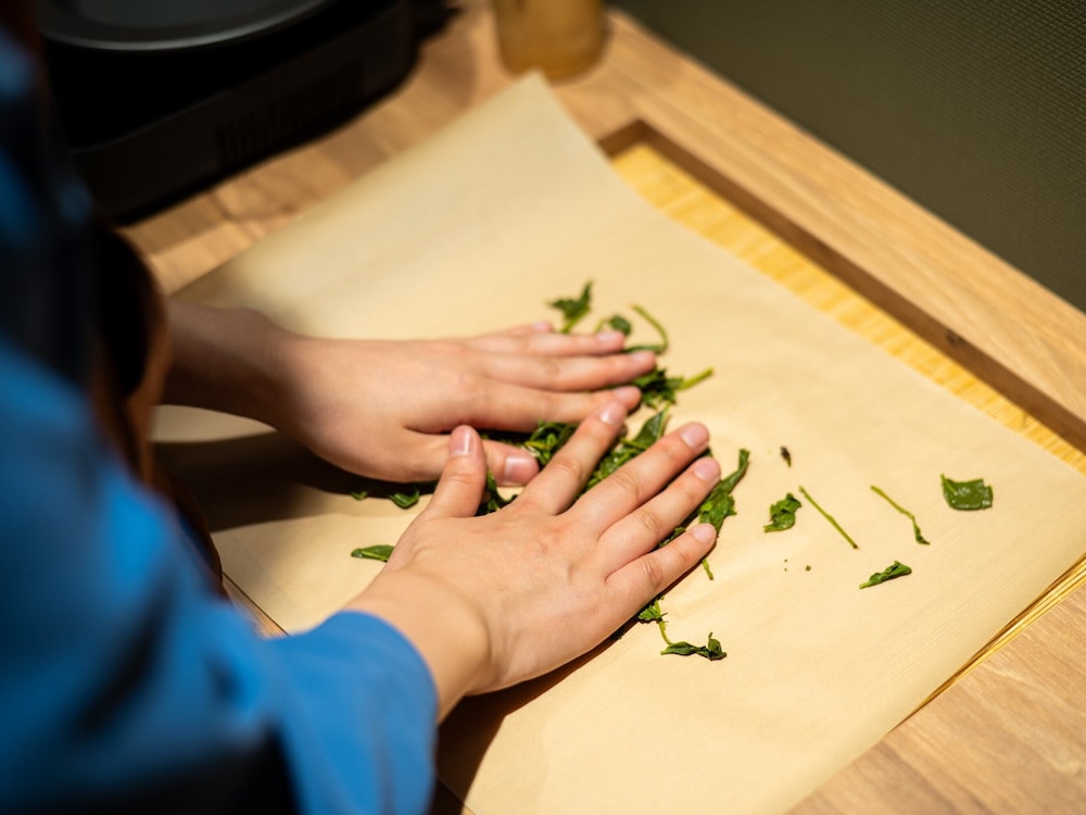 嬉野温泉 宿屋うちろじ本通り 佐賀