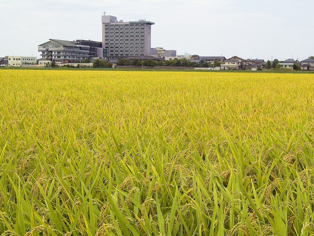 グランディア芳泉 福井