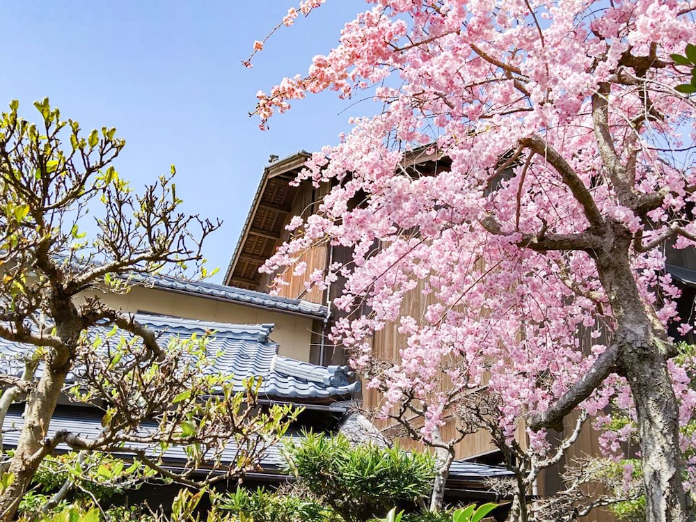 灰屋 福井