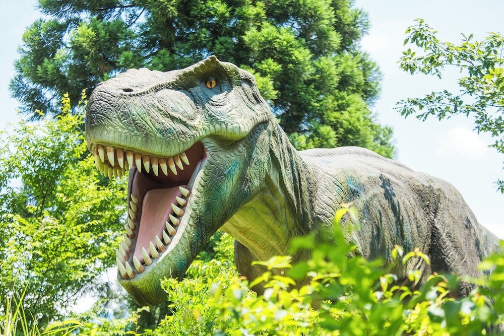 ホテルハーヴェスト スキージャム勝山 福井