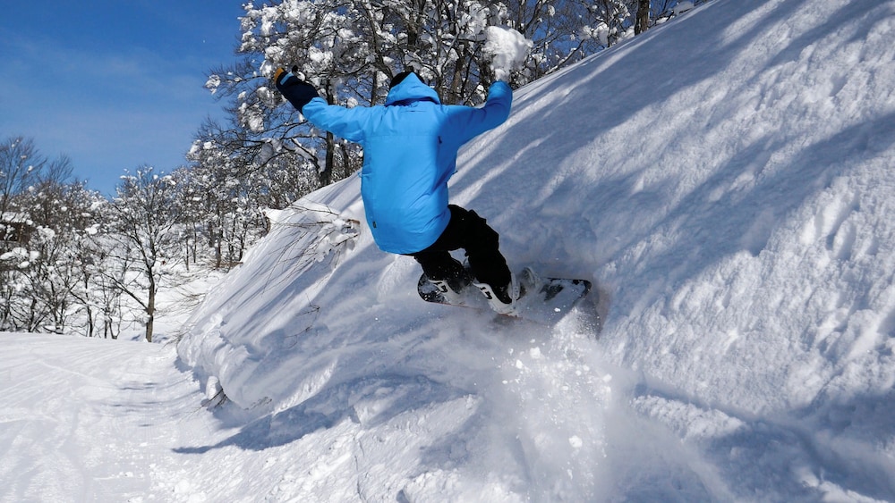 ホテルハーヴェスト スキージャム勝山 福井