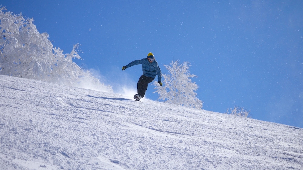 ホテルハーヴェスト スキージャム勝山 福井