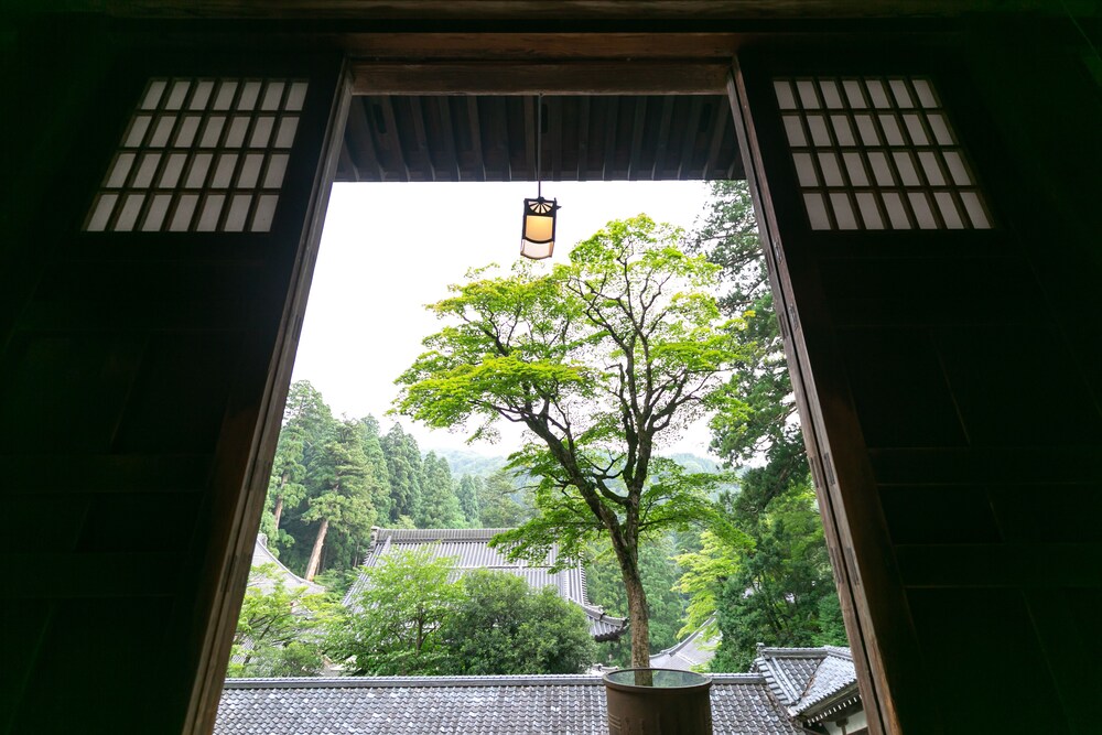 柏樹関 福井