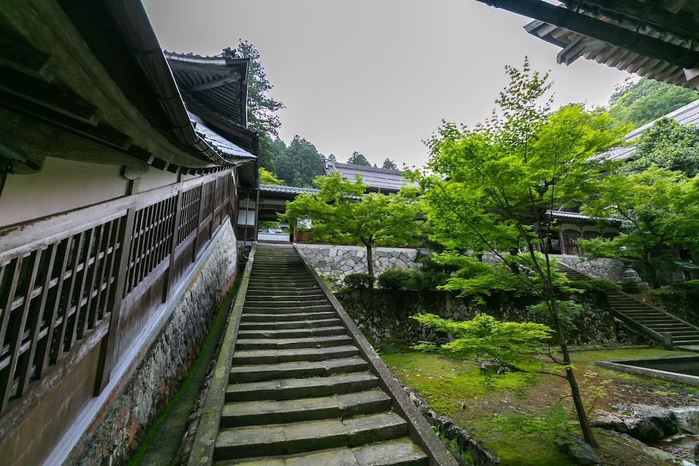 柏樹関 福井