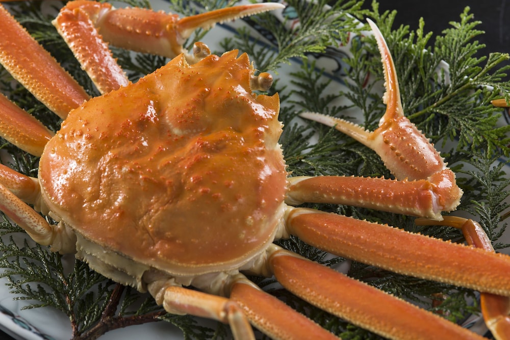 りぞうと旅館 宿かり 福井