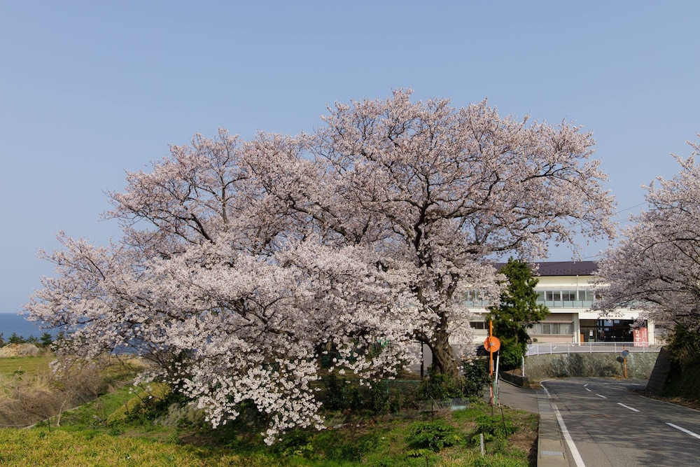 国民宿舎 鷹巣荘 福井
