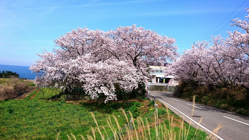 国民宿舎 鷹巣荘 福井