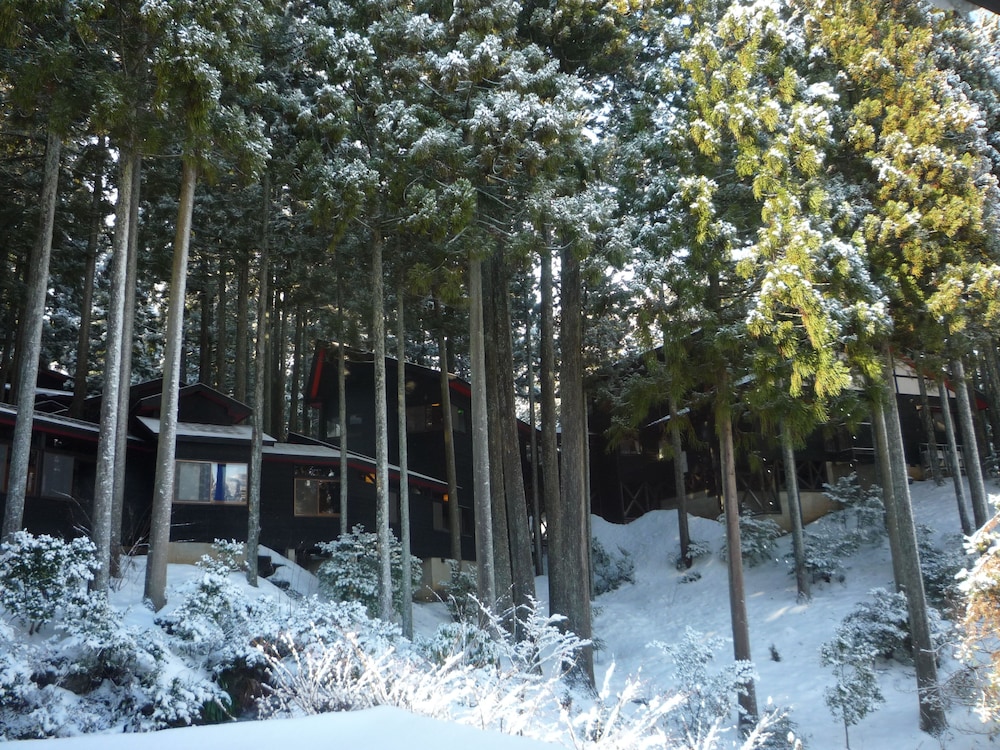 福井市美山森林温泉 みらくる亭 福井