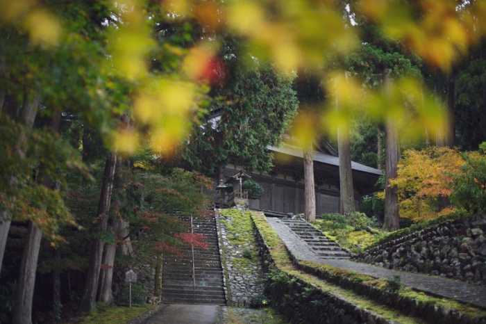 松永六感 藤屋 福井