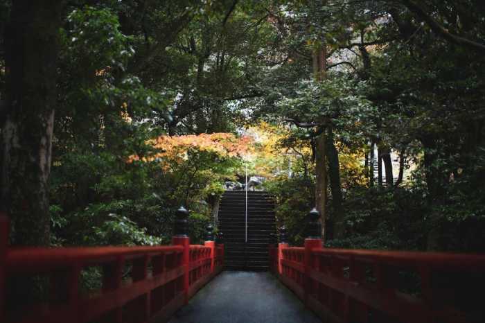 松永六感 藤屋 福井