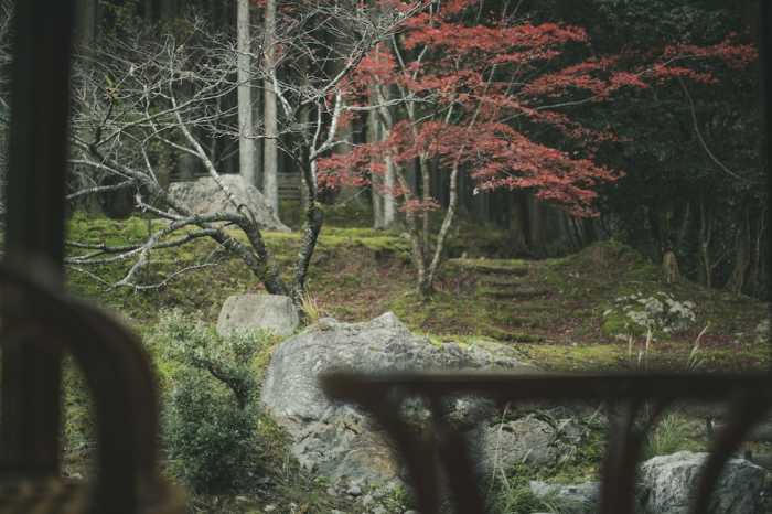 松永六感 藤屋 福井