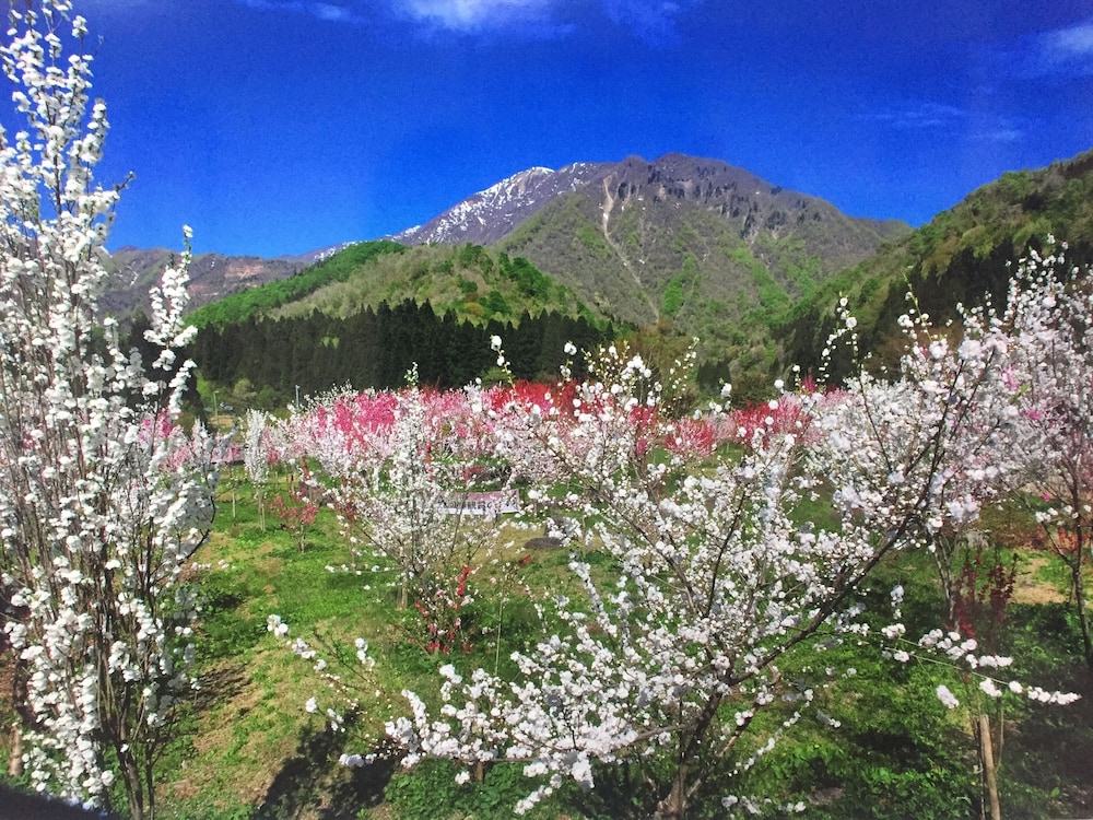 ホテル フレアール和泉 福井