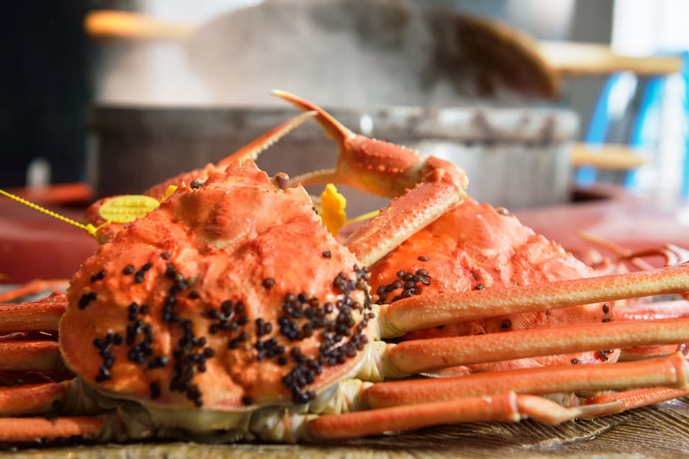 みくに隠居処 福井