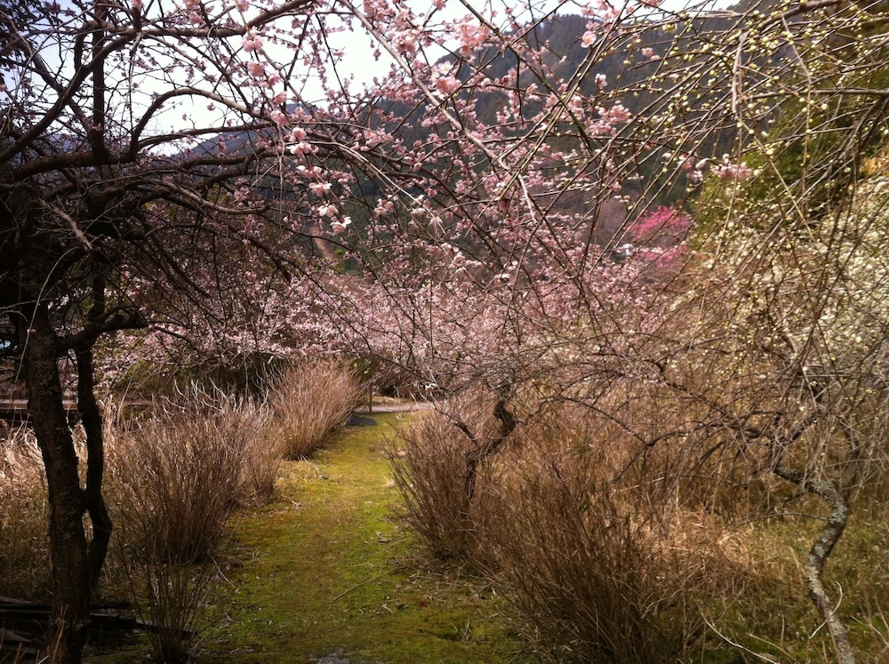 火の谷温泉 美杉リゾート 鈴鹿