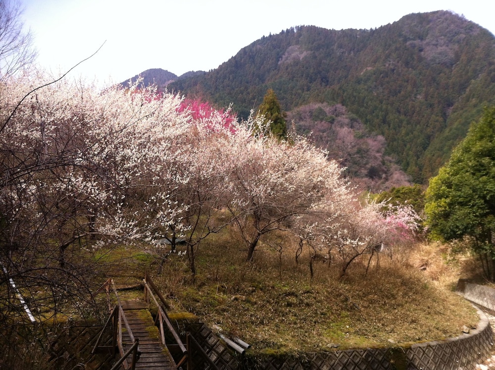 火の谷温泉 美杉リゾート 鈴鹿