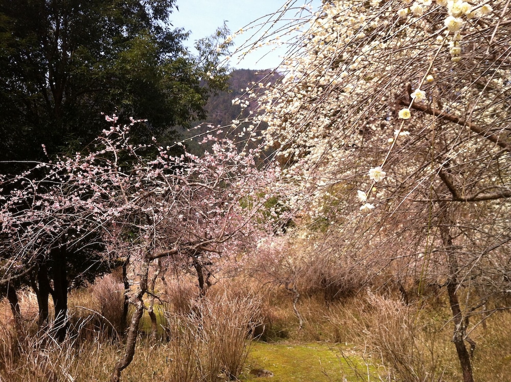 火の谷温泉 美杉リゾート 鈴鹿