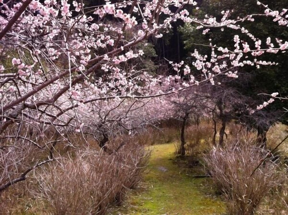 火の谷温泉 美杉リゾート 鈴鹿