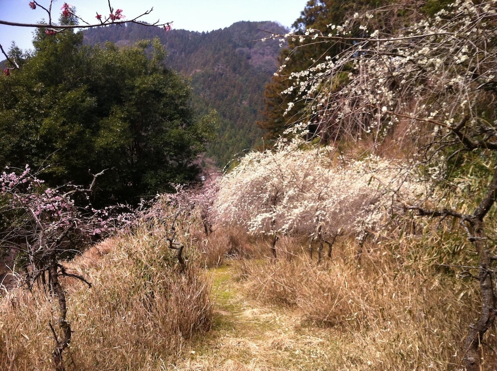 火の谷温泉 美杉リゾート 鈴鹿