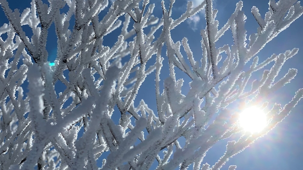 ホテル湯の本 鈴鹿