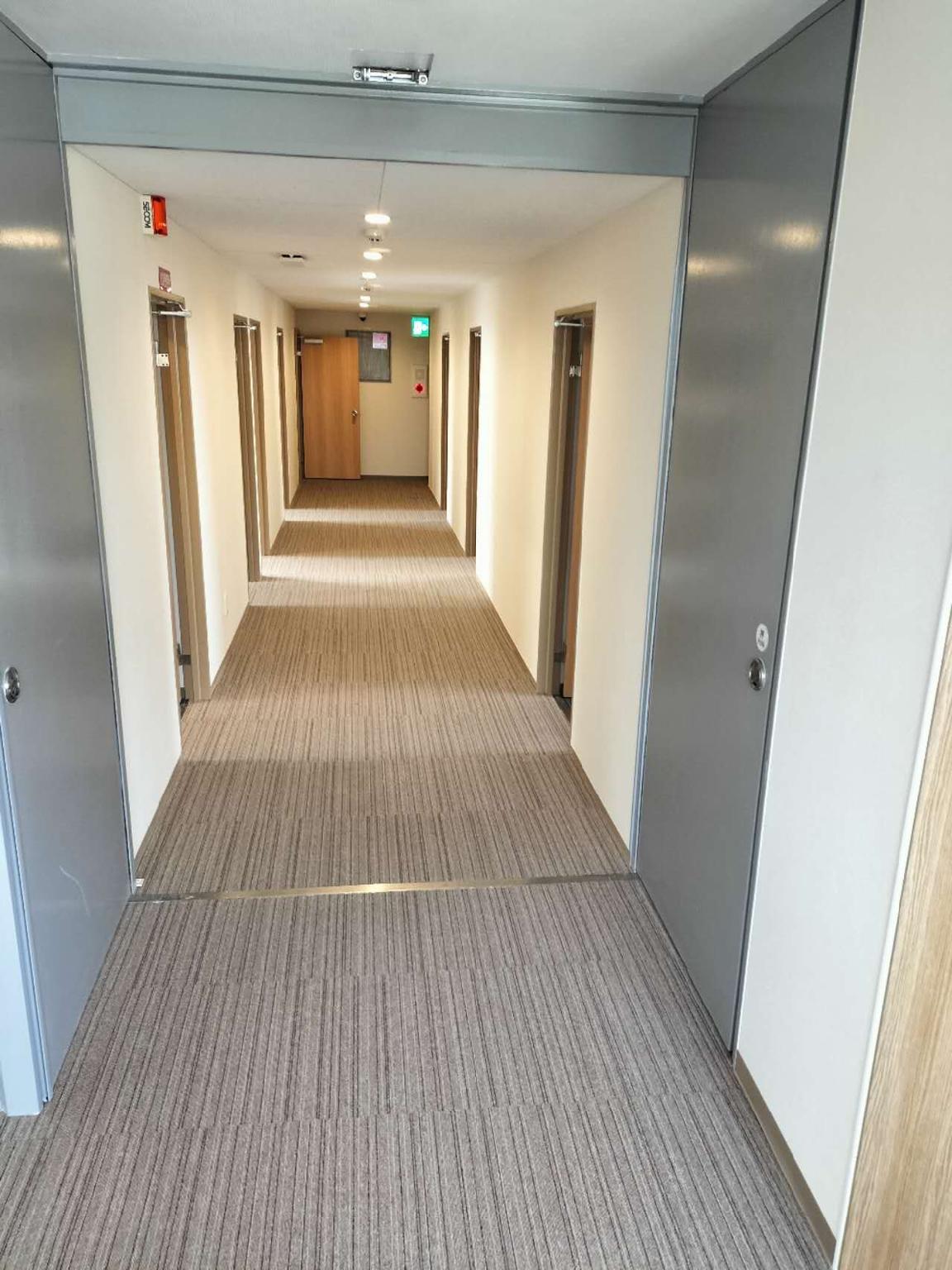 フライ キャット イン 伊勢 鈴鹿