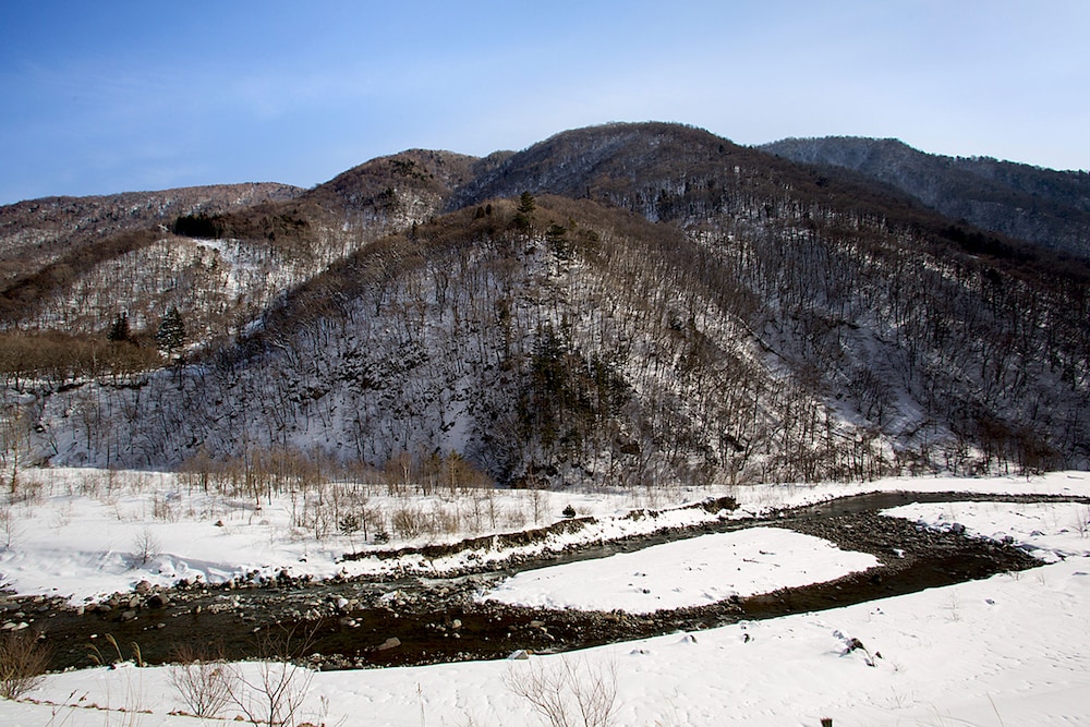 雪紫 岐阜