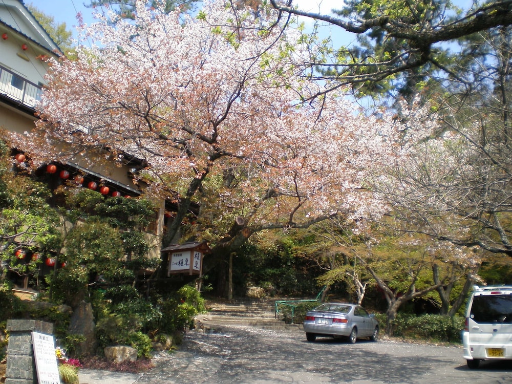 植東旅館 岐阜