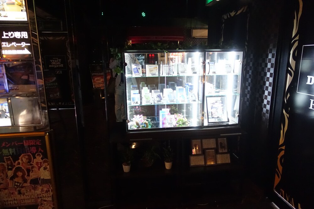 ホテル タイガー アンド ドラゴン 岐阜