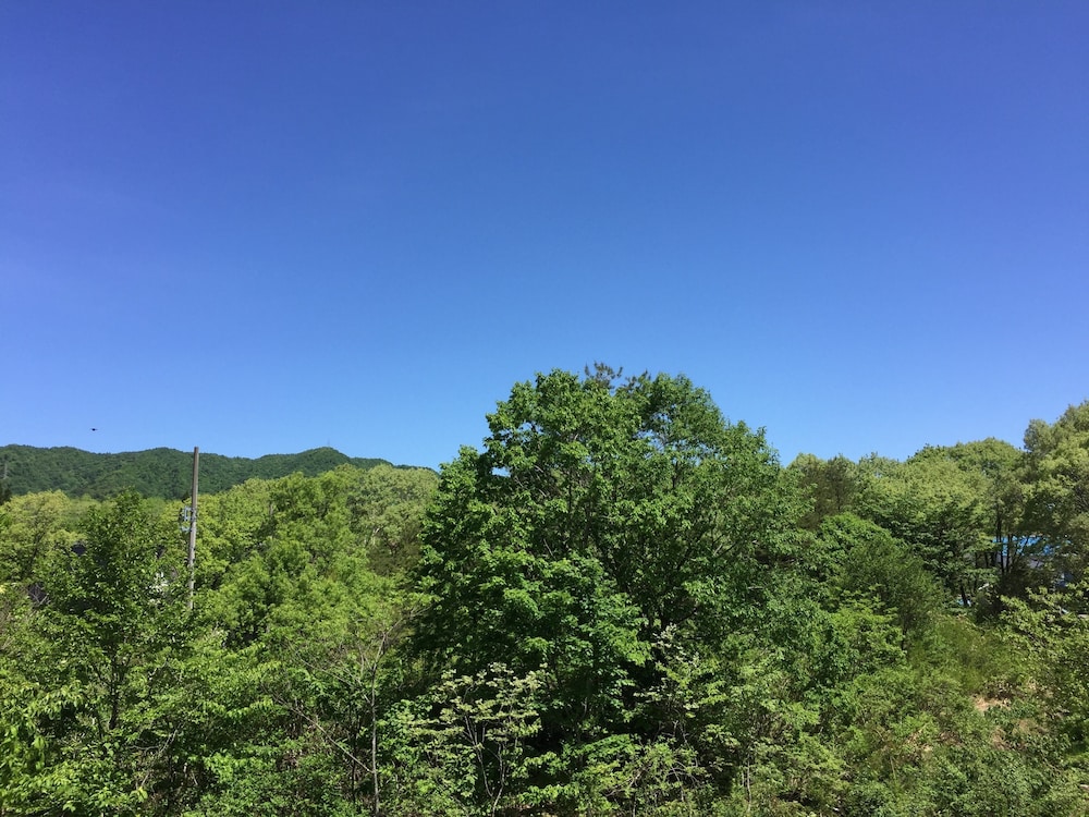 ゲストハウス キンザザ 岐阜