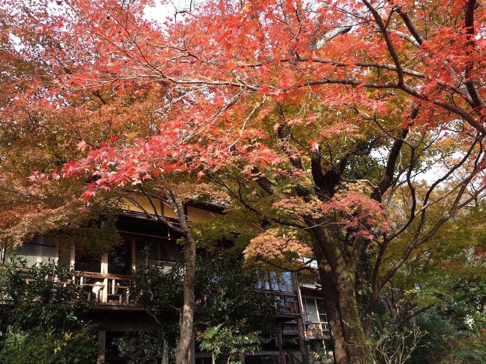 文化財のお宿 千歳楼 岐阜
