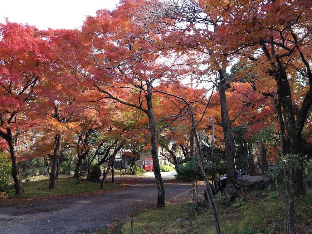 文化財のお宿 千歳楼 岐阜