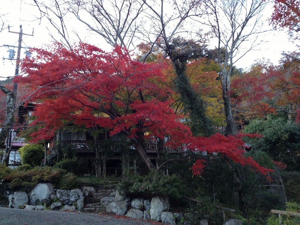 文化財のお宿 千歳楼 岐阜