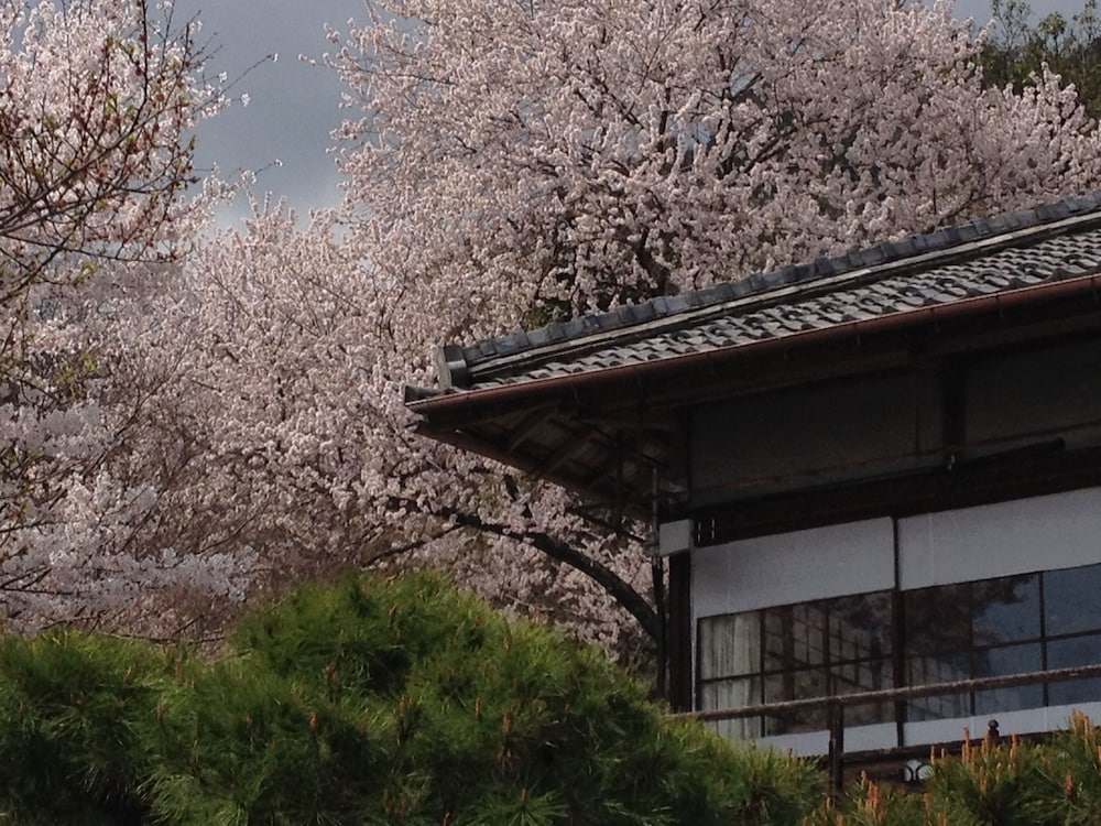 文化財のお宿 千歳楼 岐阜