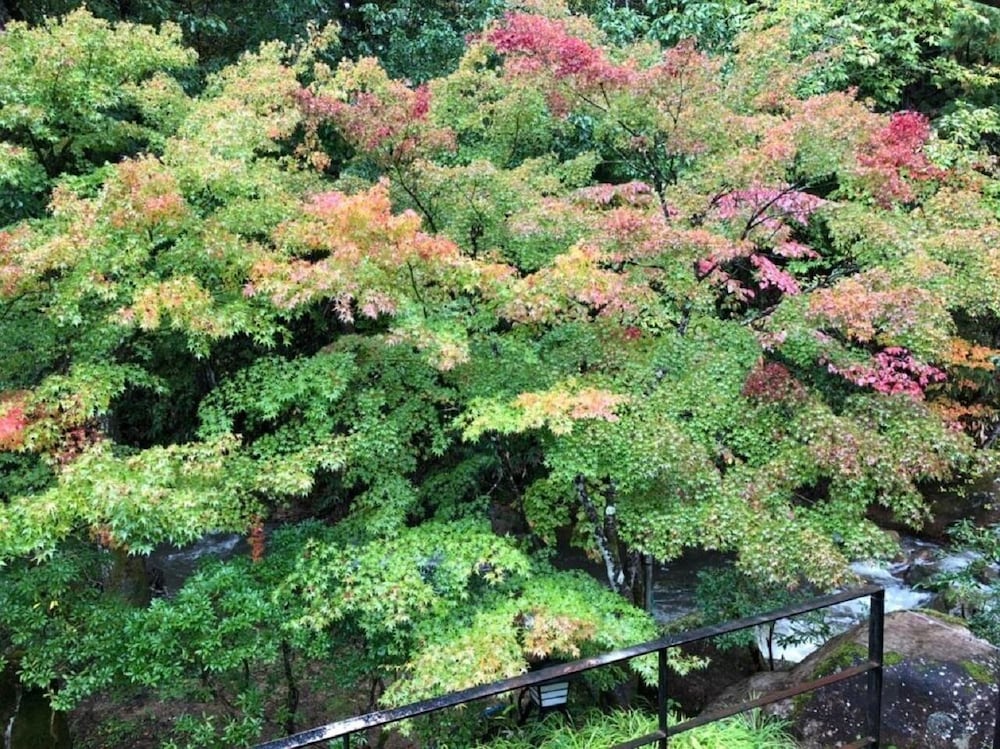 旅館 松柏園 岐阜
