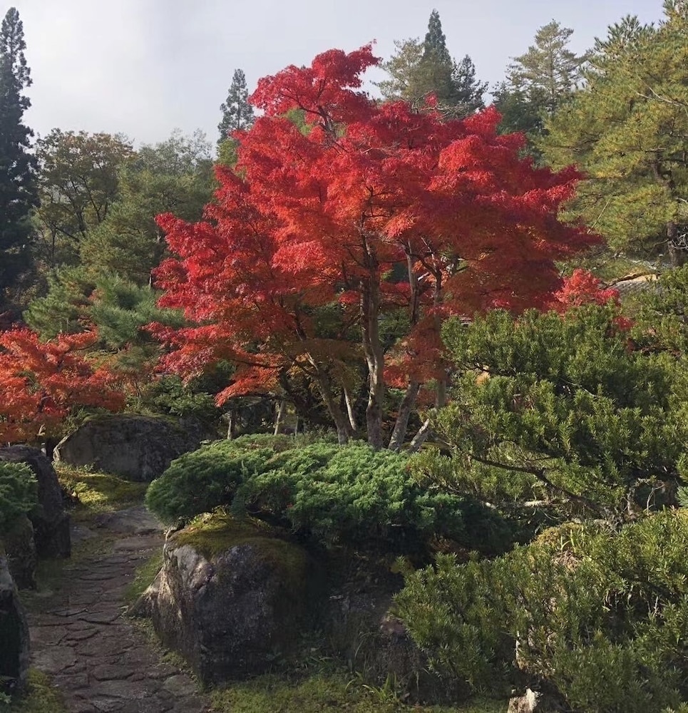 旅館 松柏園 岐阜