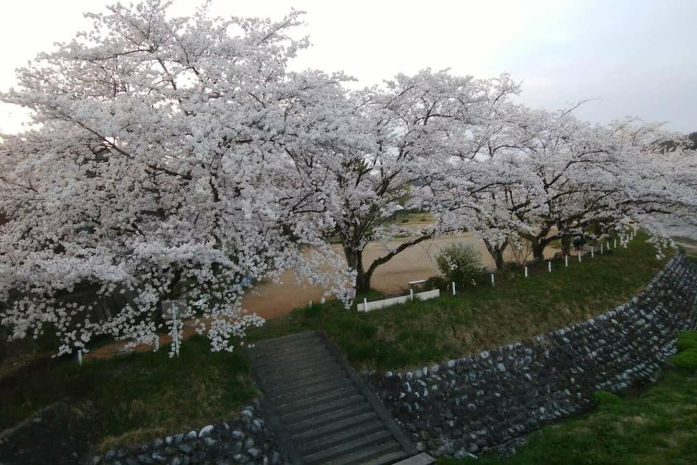 GREEN HOUSE 岐阜