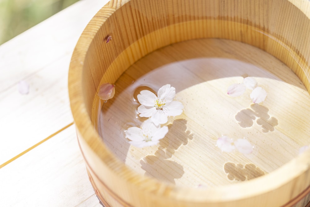 グランピング 星が見の杜 岐阜