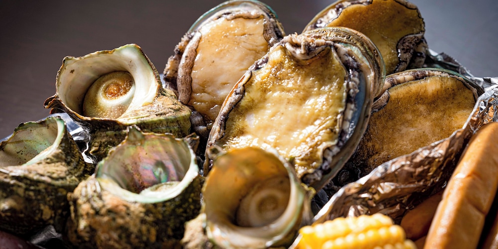 グランピング 星が見の杜 岐阜