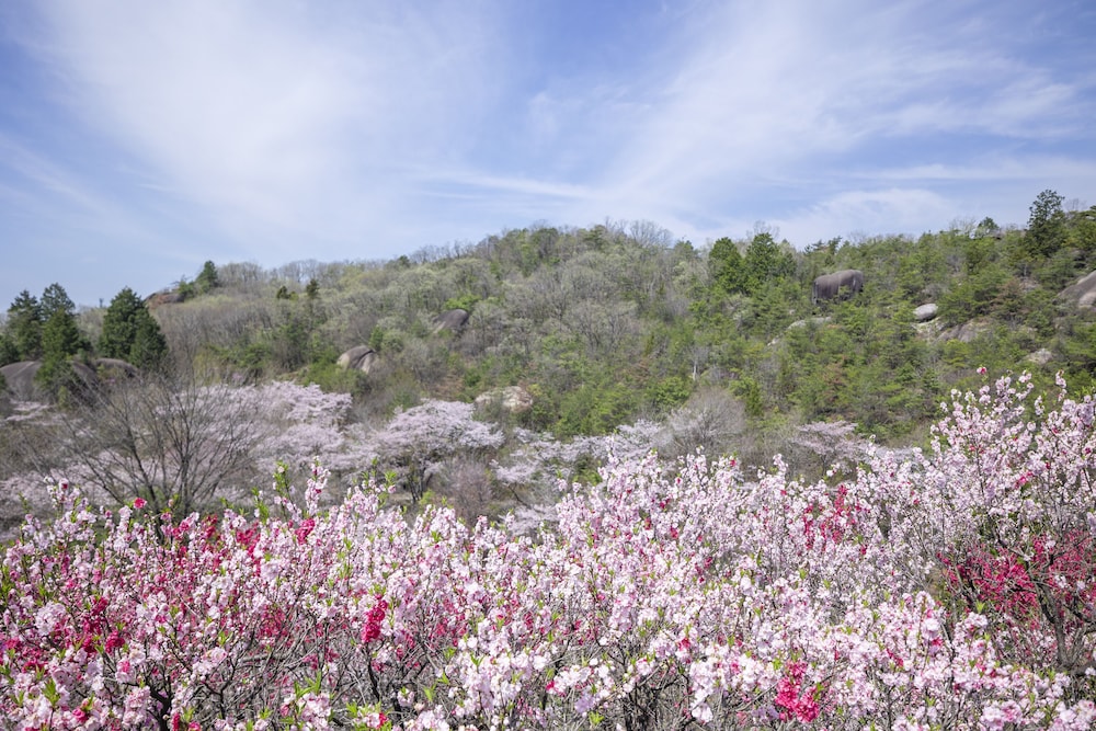 グランピング 星が見の杜 岐阜