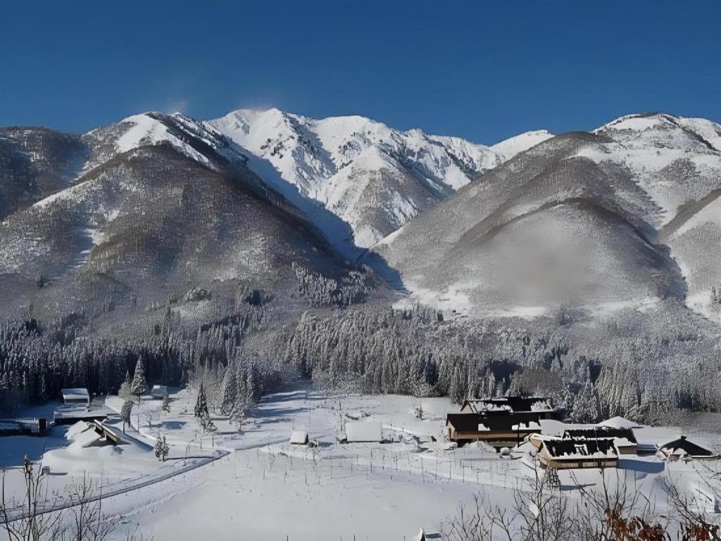 トヨタ 白川郷 自然学校 岐阜