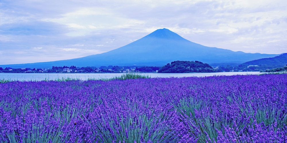 リゾートイン芙蓉 甲府