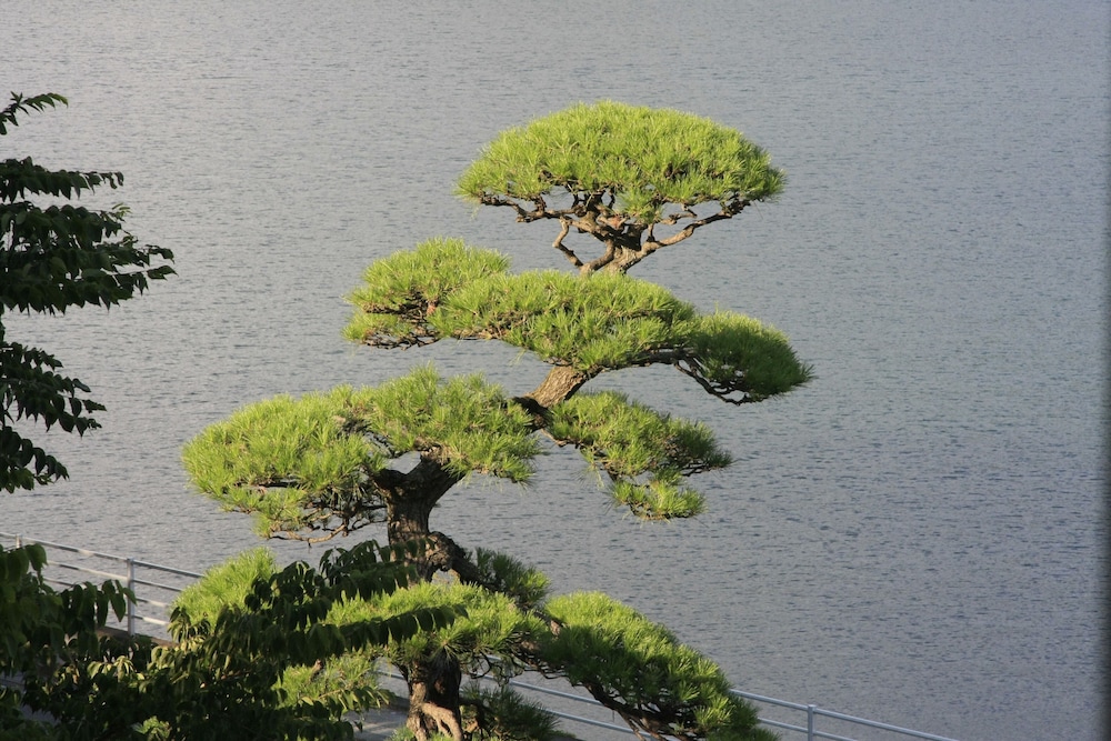 河口湖ホテル 甲府