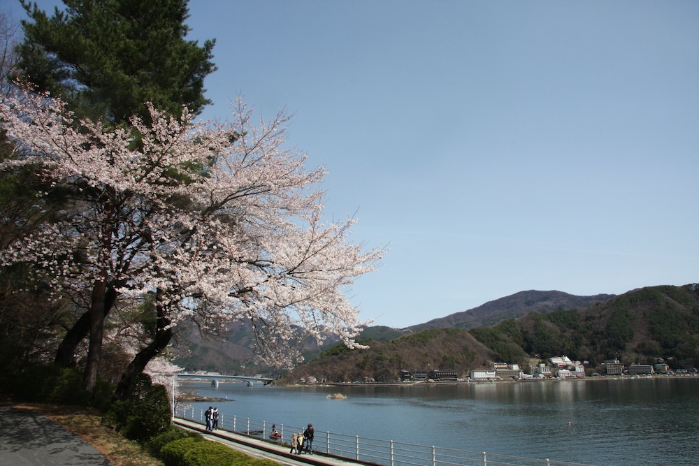 河口湖ホテル 甲府